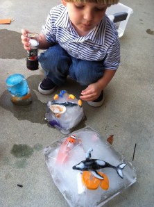 Freeing toys from ice