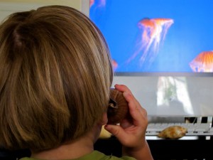 Calling all jellies!