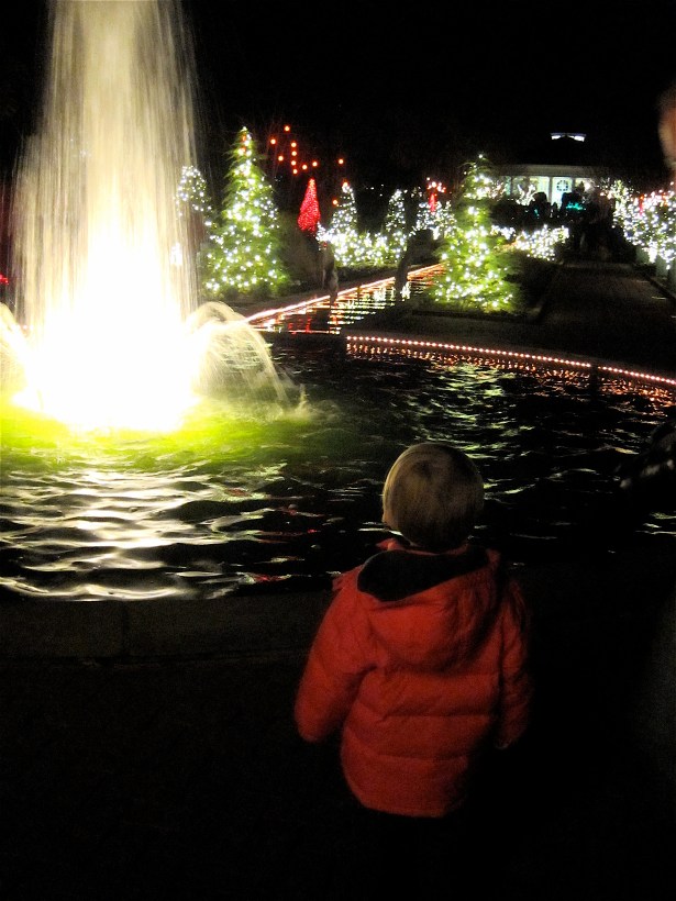 Water Features Daniel Stowe Botanical Gardens
