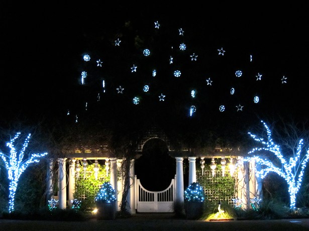 Light Display at Daniel Stowe Botanical Garden