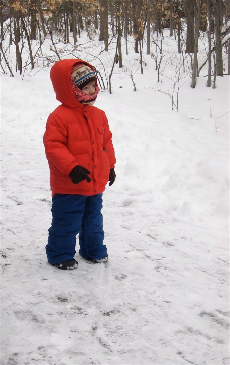 Icy cold nature walk