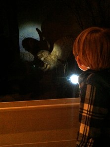 Carnegie Museum of Natural History, exploration hall