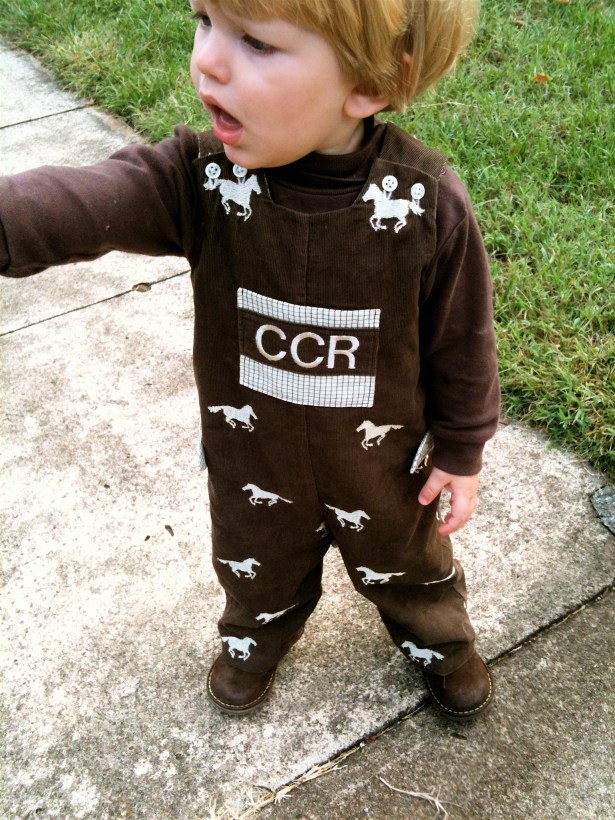 Embroidered Horse Longall