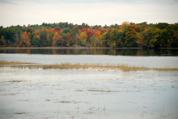 View from Swan Island, Maine